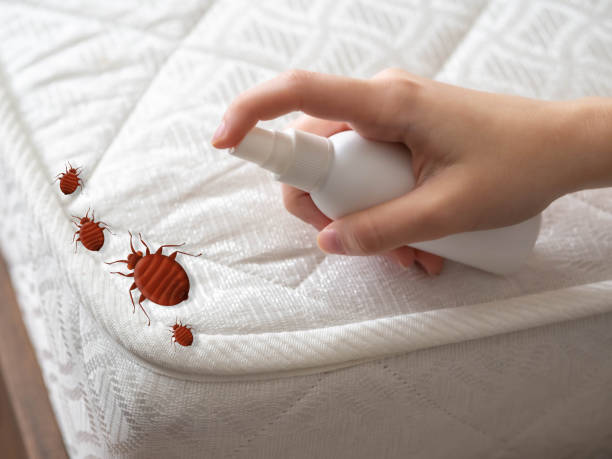 Pest Prevention Services in Tunica, MS